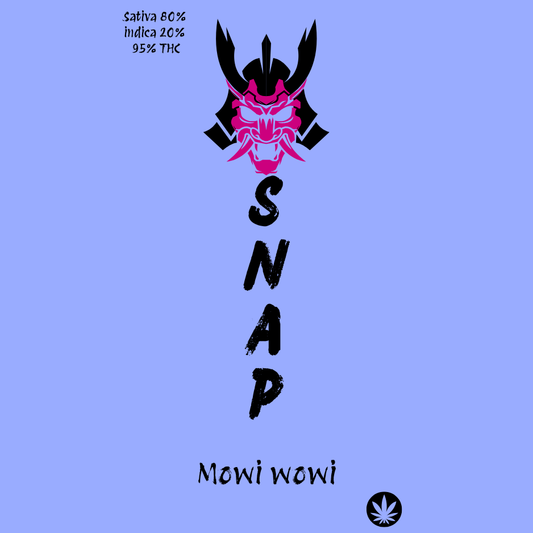 Snap Disposable Vape Mowi wowi